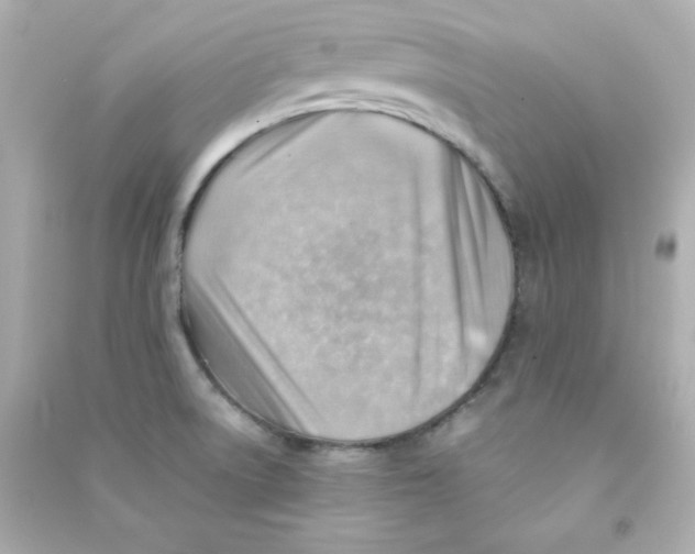 X0000090431522200708101954