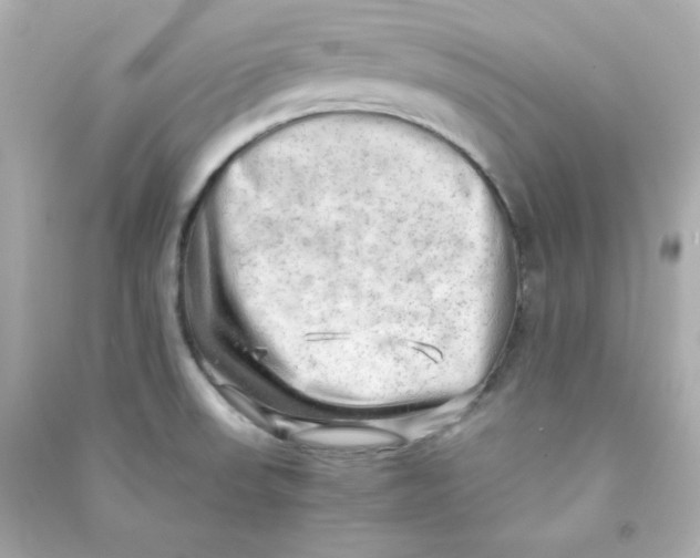 X0000090431523200708101954