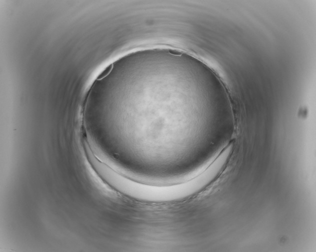 X0000090431524200708101954
