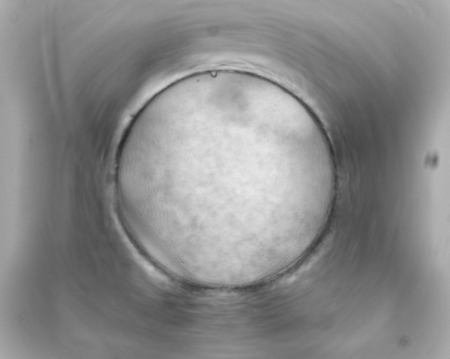 X0000090431525200708101954