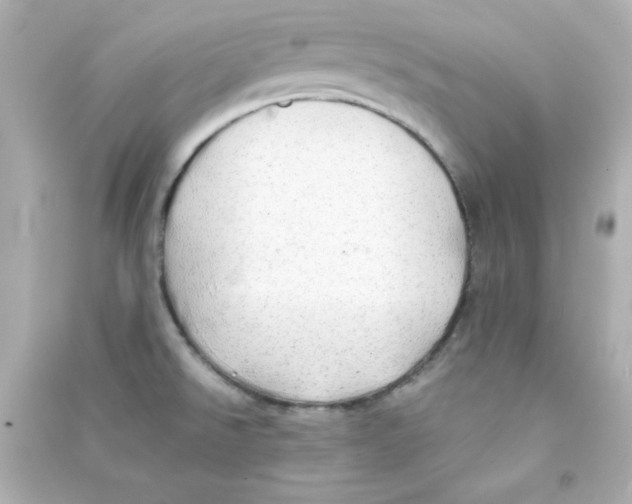 X0000090431526200708101954