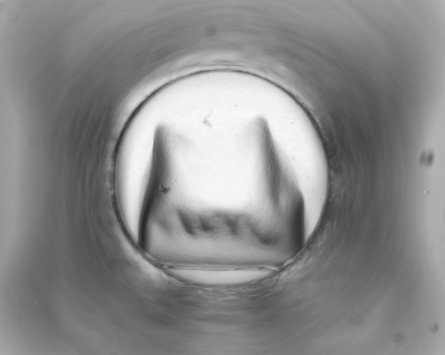 X0000090431527200708101954