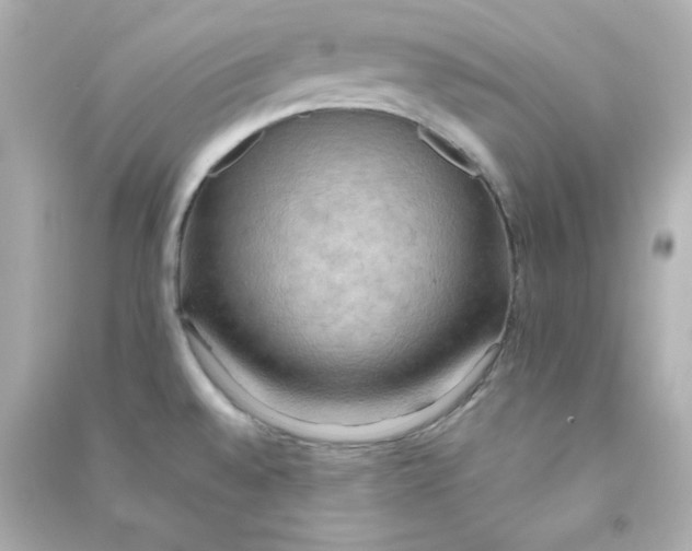 X0000090431528200708101954
