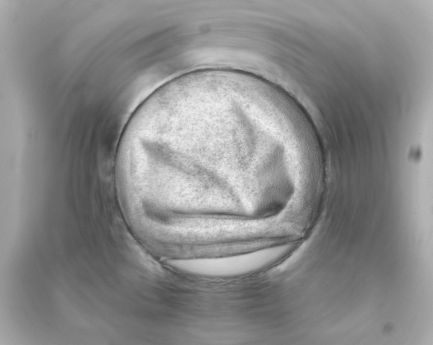 X0000090431529200708101954