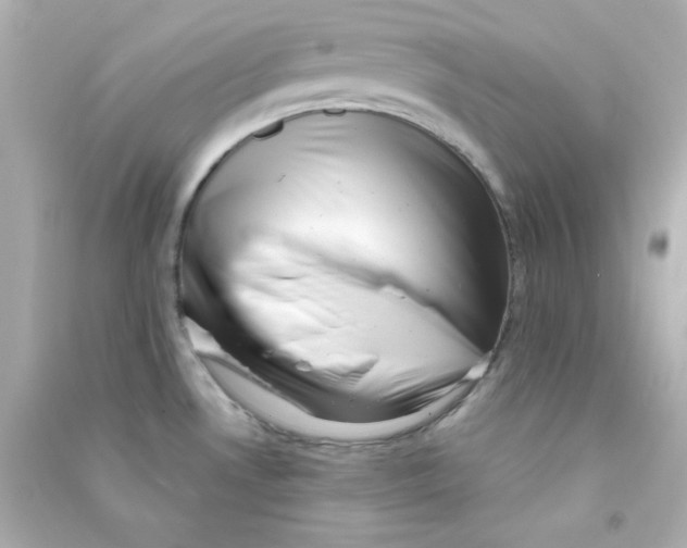 X0000090431530200708101954