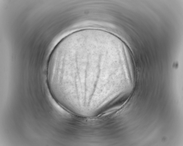 X0000090431531200708101954
