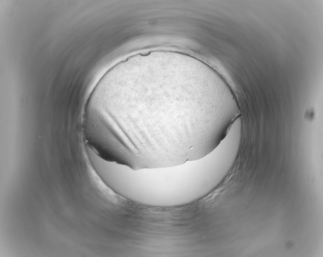 X0000090431532200708101954
