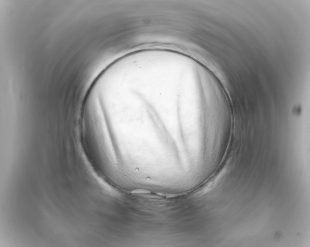 X0000090431533200708101954