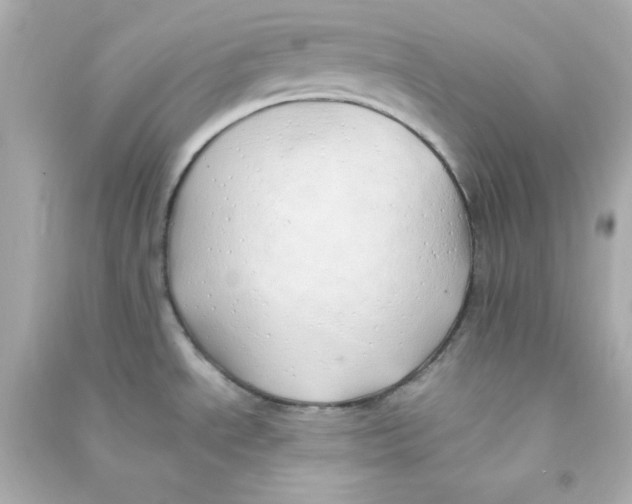 X0000090431534200708101954