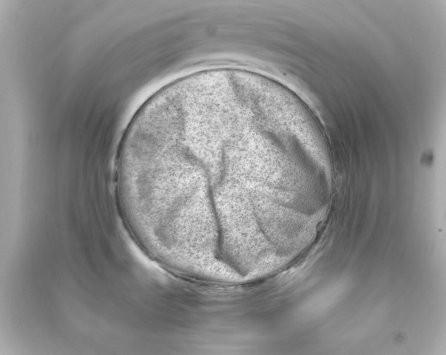 X0000090431535200708101954