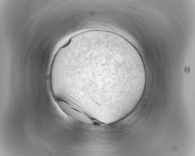 X0000090431536200708101954