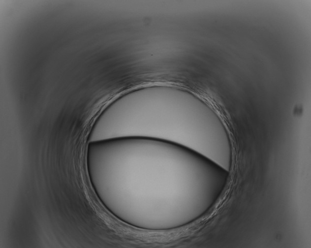X0000090440001200707131040