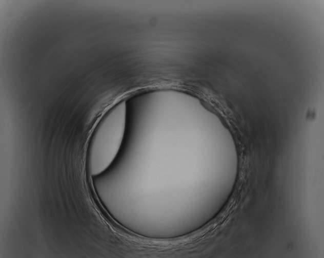 X0000090440002200707131040