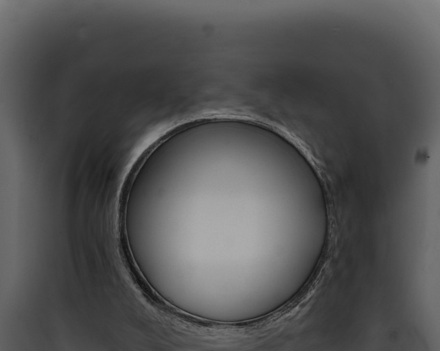 X0000090440008200707131040