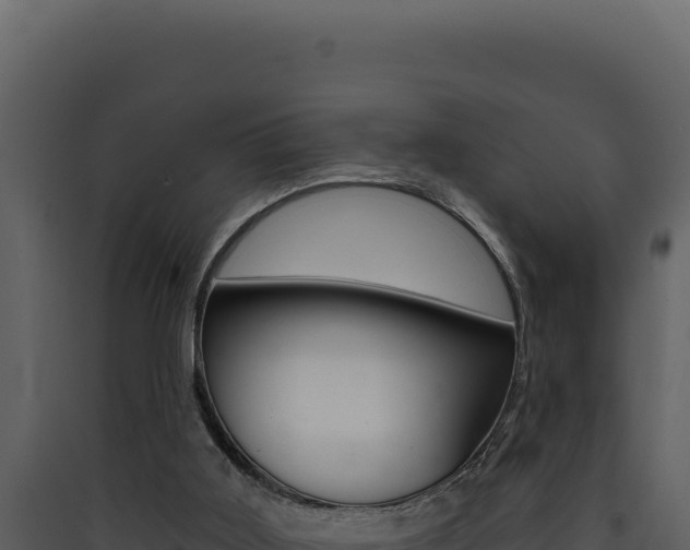 X0000090440011200707131040