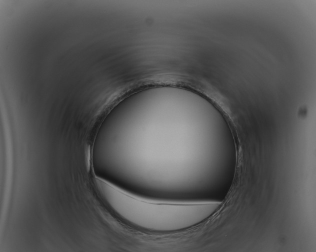 X0000090440013200707131040