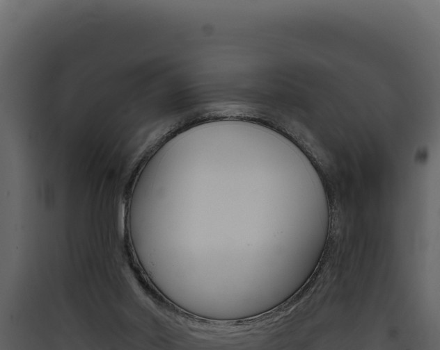 X0000090440014200707131040