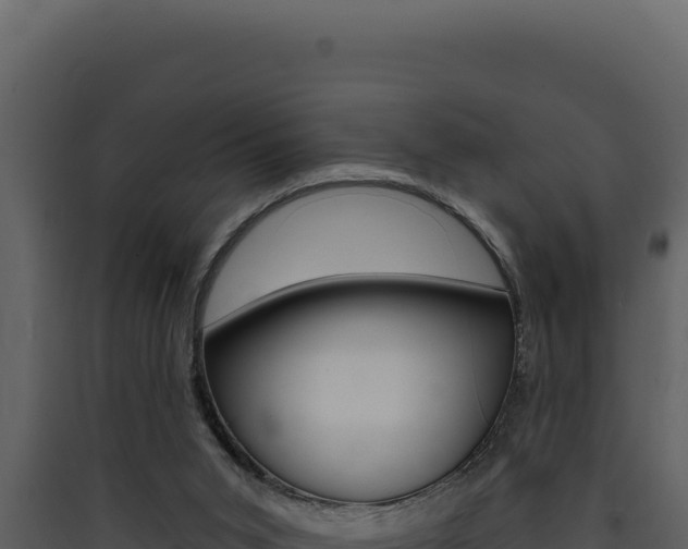 X0000090440015200707131040