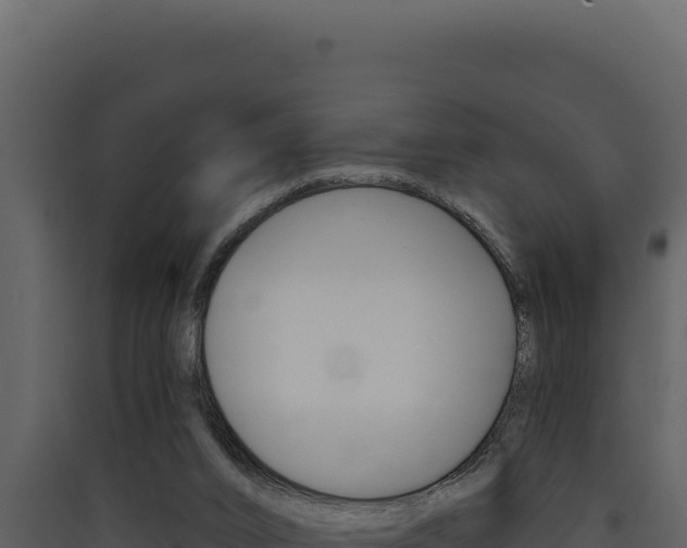 X0000090440016200707131040