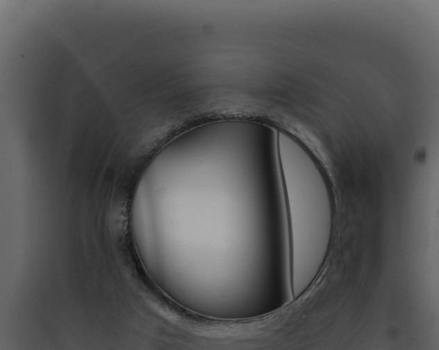 X0000090440017200707131040