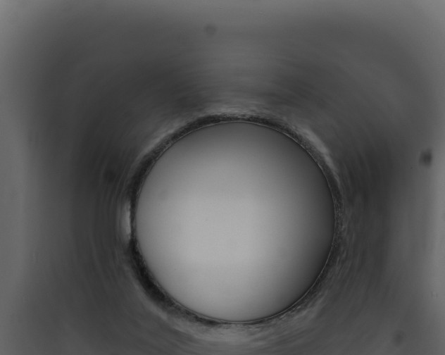 X0000090440020200707131040