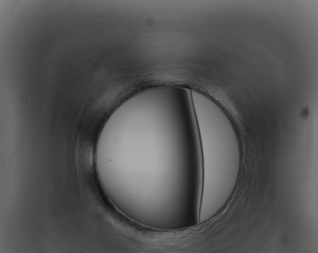 X0000090440021200707131040