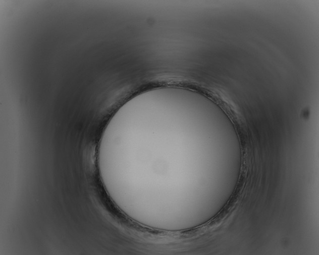 X0000090440024200707131040