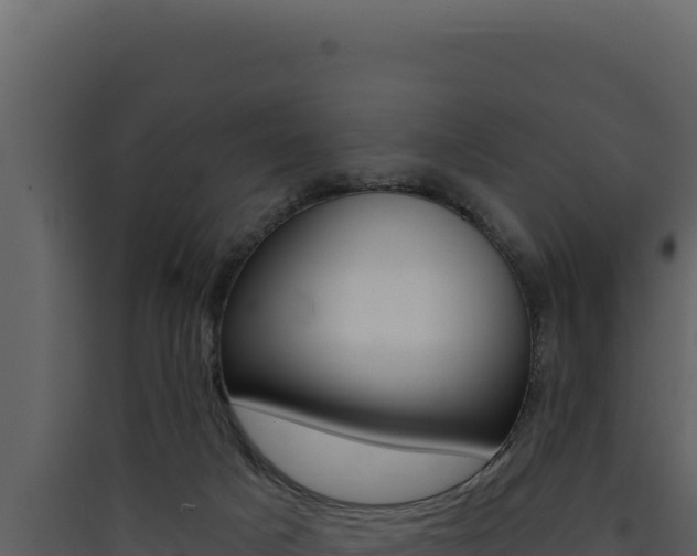 X0000090440025200707131040