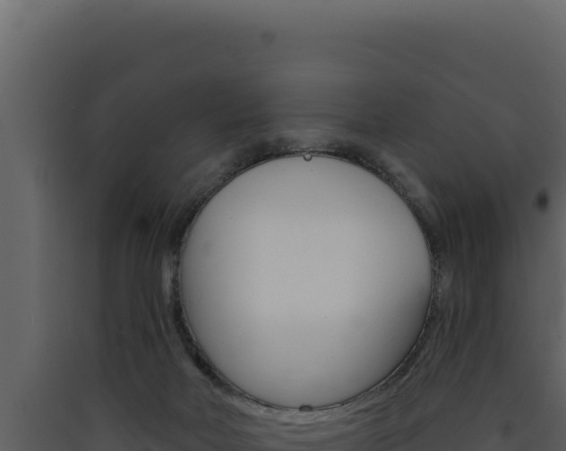 X0000090440026200707131040