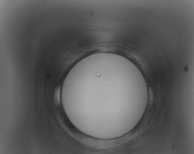 X0000090440028200707131040