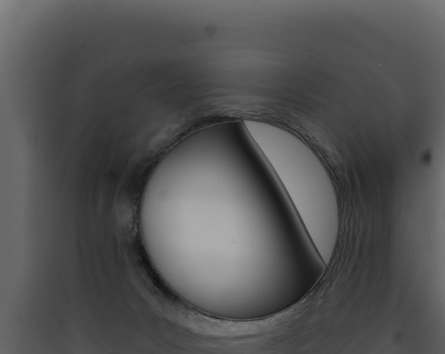 X0000090440031200707131040