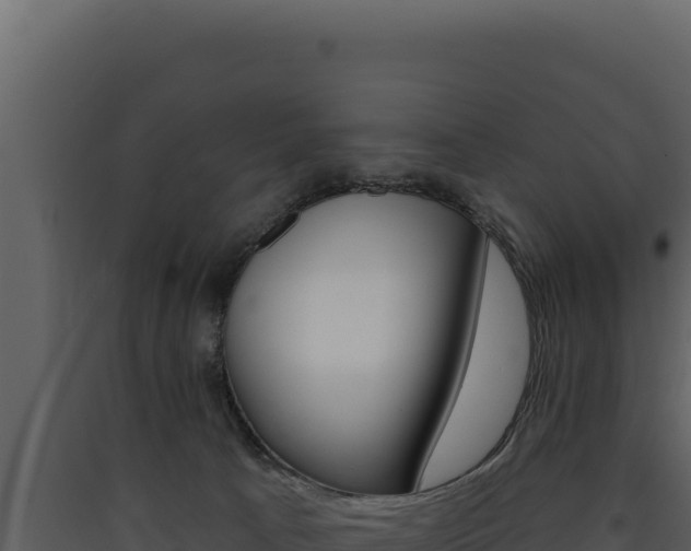 X0000090440033200707131040