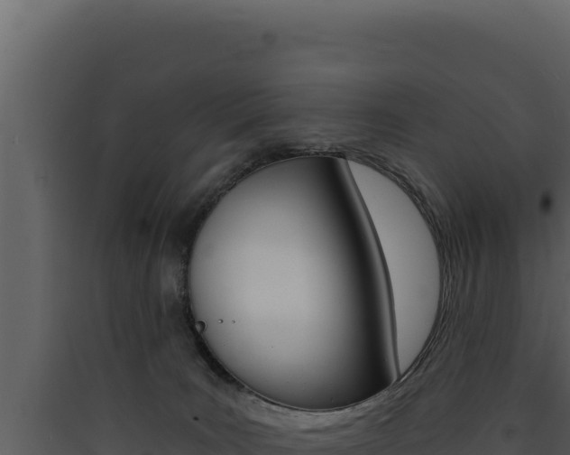 X0000090440035200707131040