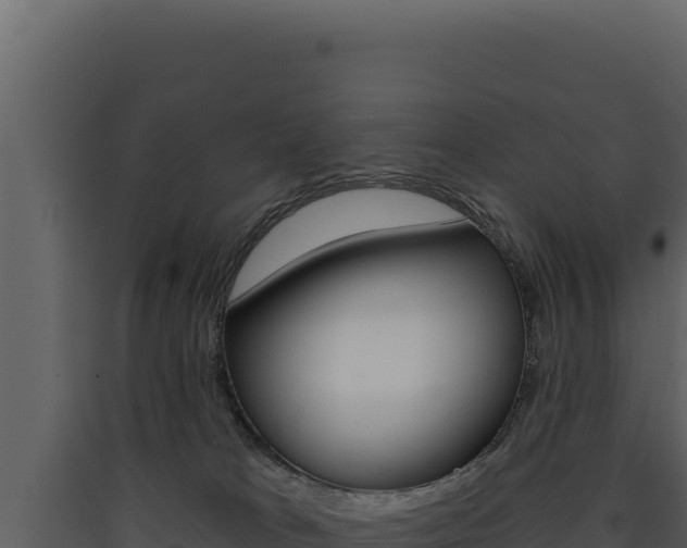 X0000090440037200707131040