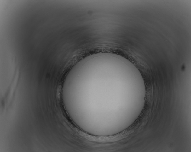 X0000090440038200707131040