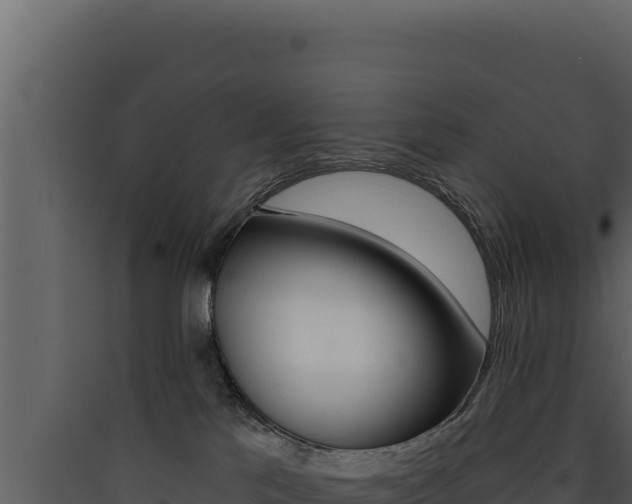X0000090440041200707131040