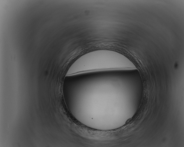X0000090440044200707131040