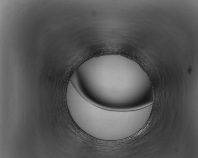 X0000090440045200707131040