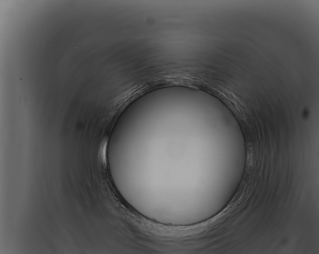 X0000090440047200707131040