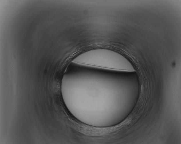 X0000090440048200707131040