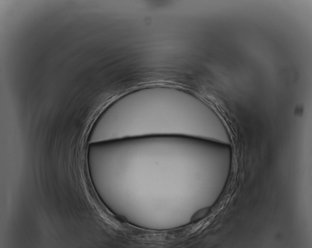 X0000090440049200707131039