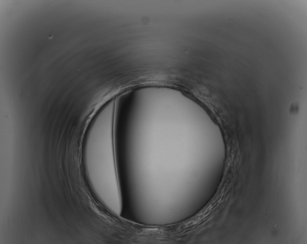 X0000090440050200707131039