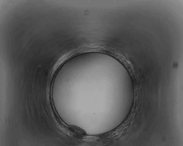 X0000090440051200707131039
