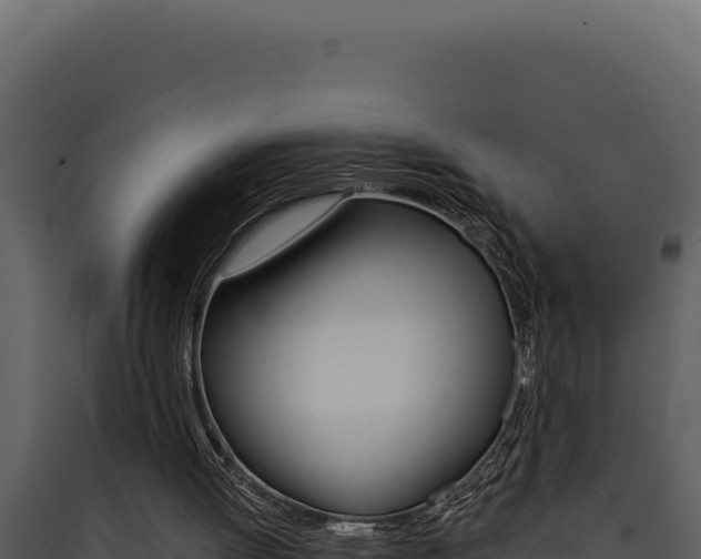 X0000090440052200707131039
