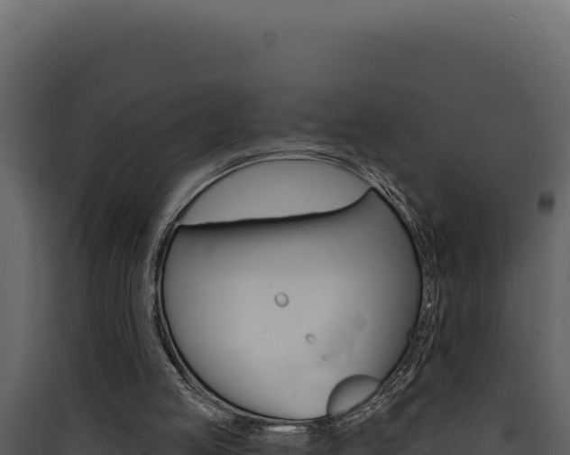 X0000090440053200707131039