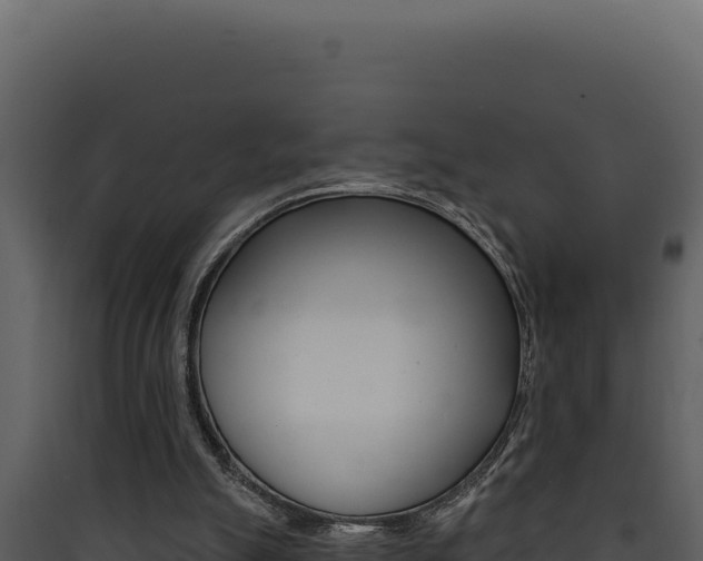 X0000090440055200707131039