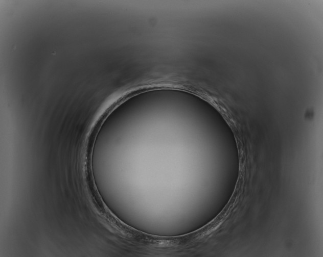 X0000090440056200707131039