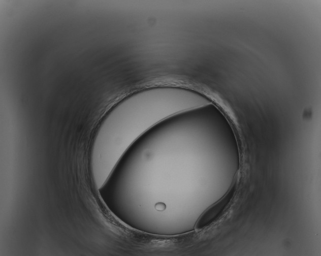 X0000090440057200707131039