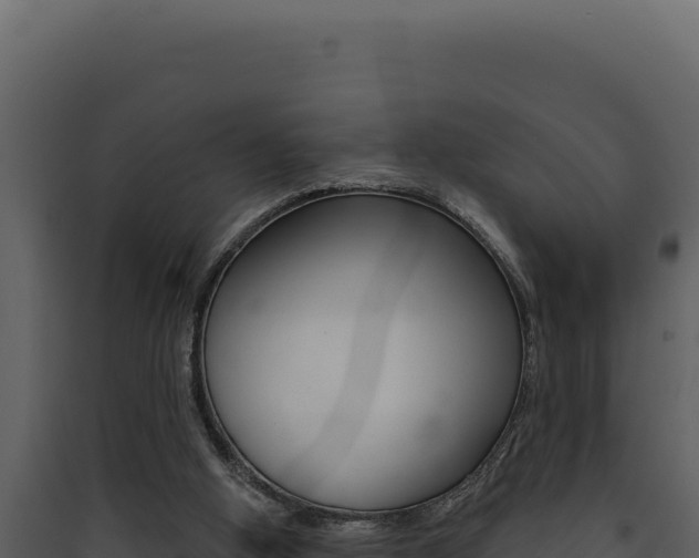 X0000090440058200707131039