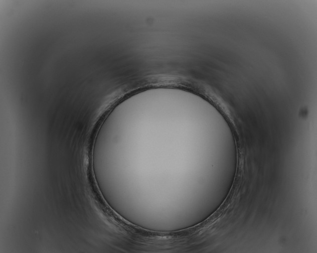 X0000090440059200707131039